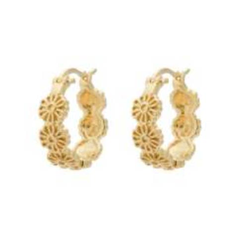 Danicka Hoops